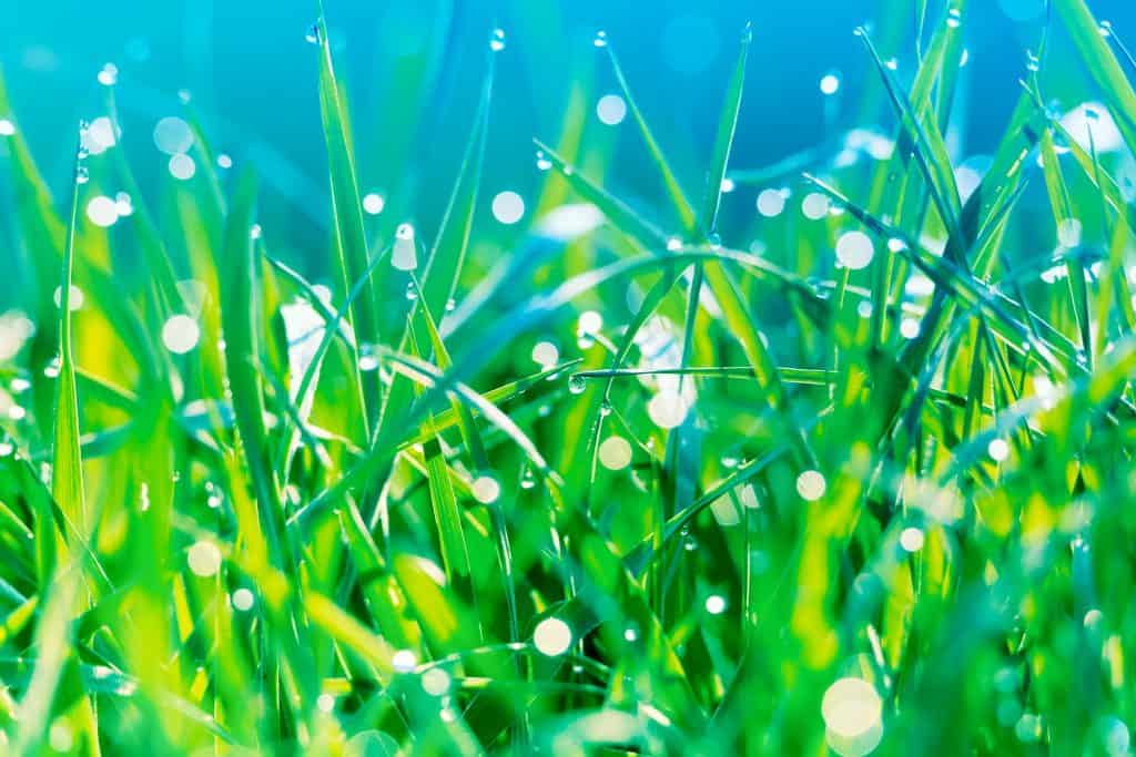 Specialty Additives Matapel Chemicals