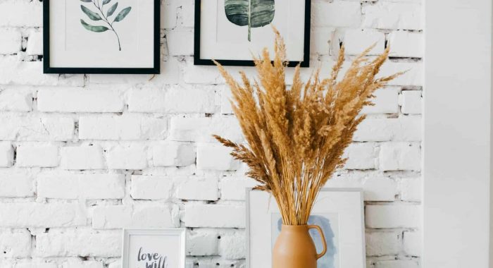 alexandra-gorn-W5dsm9n6e3g-unsplash