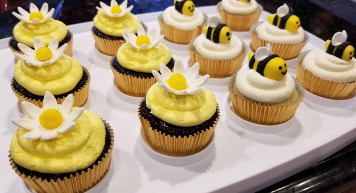 carol-santoro-oTrWXkUW8w0-unsplash