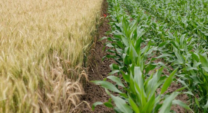 henry-be-JR8XZ-gdZrA-unsplash