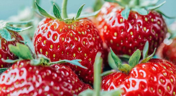 jez-timms-CvBZ3Css97c-unsplash