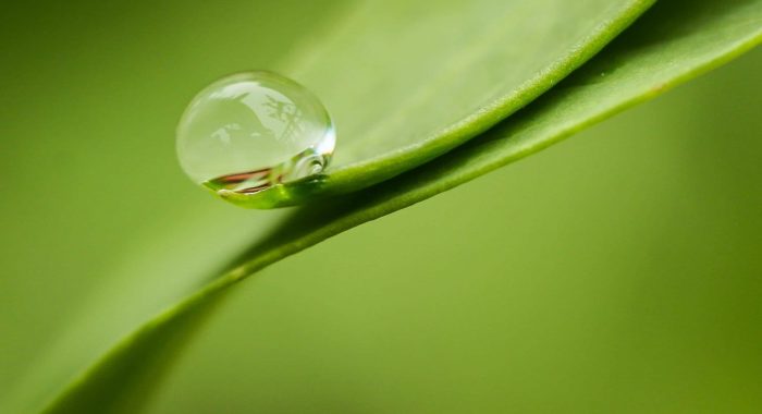 john-thomas-c1q7RqJ_EP4-unsplash