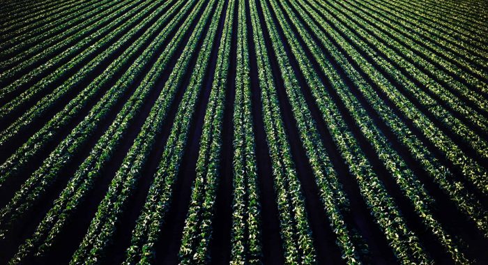 tim-mossholder-4DLnYJQE6kw-unsplash